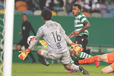 ◎ 士砵亭新隊長馬古斯達施華與樸隊日本門將權田修一短兵相接。(新華社)