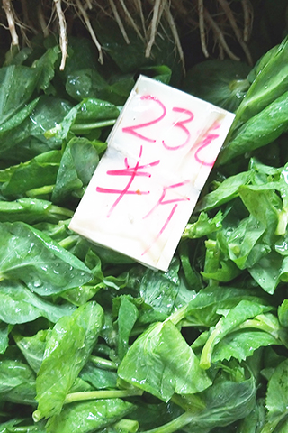 ◎ 街市售豆苗半斤叫價二十三元。