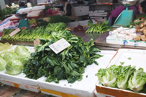 ◎ 疫情下街市菜心售價多為十六元。