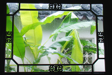 ◎ 圖為「窗外芭蕉窗裡燈」。(王珉 攝)