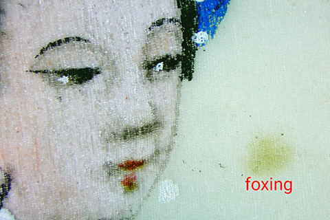 ◎ 圖二:蓪草畫上的狐斑(侍女圖,局部放大十倍)。