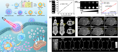 ◎ 智慧光動力診療劑設計示意圖及多模態分子影像。