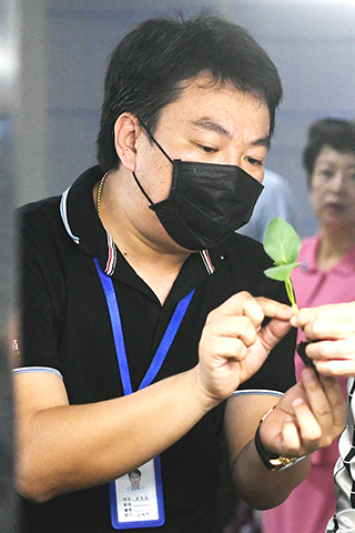 ◎ 康英德介紹種苗嫁接技術。(中新社記者王東明 攝)