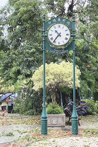◎ 電單車避過水浸,但避不了樹倒。