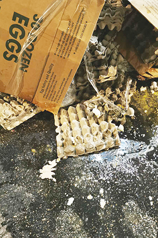 ◎ 北區有大量雞蛋托盤隨處被拋棄於道路上。