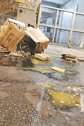 ◎ 紙箱亦隨拋意置於道路上,既礙觀瞻,亦造成交通阻塞及損害環境衛生。