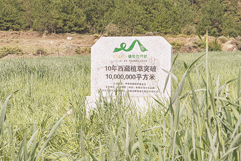 ◎ 「力士.綠哈達行動」在西藏種植的人工草場面積累計突破一千萬平方米(九月十三日攝)。(新華社記者 孫非 攝)