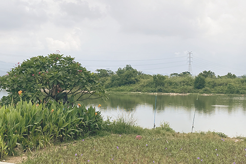 ◎ 偽裝的「垂釣者」。