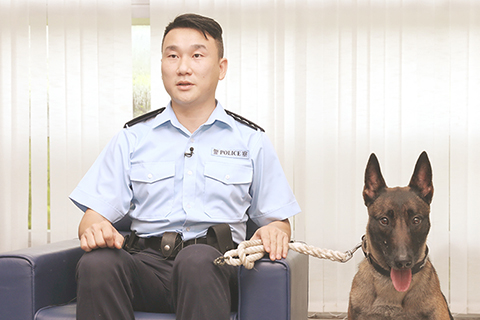 ◎ 香港警犬隊領犬員張仲然帶著警犬Loeska接受採訪(九月十日攝)。(新華社記者吳曉初 攝)