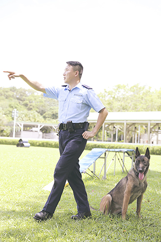 ◎ 香港警犬隊領犬員張仲然帶著警犬Loeska訓練(九月十日攝)。(新華社記者吳曉初 攝)