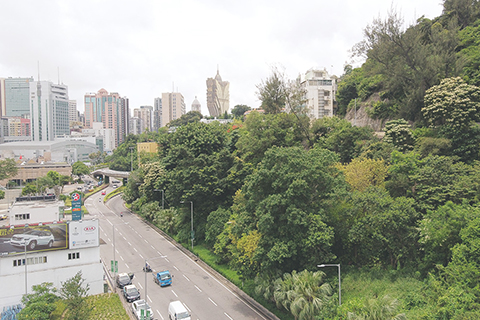 ◎ 工程於羅理基博士大馬路近松山範圍開展。