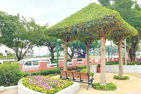 ◎ 公園增設一座樹亭。