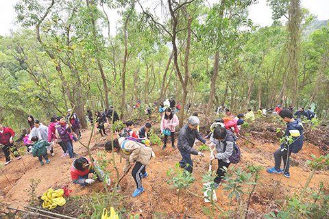◎ 市民於去屆綠化周踴躍參與植樹。