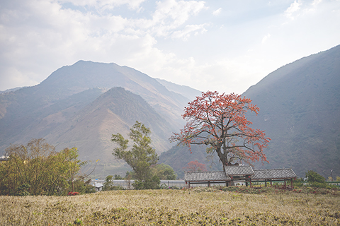 ◎ 三月五日拍攝的怒江大峽谷風光。