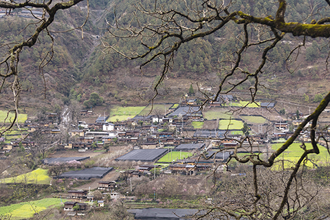 ◎ 三月七日拍攝的怒江大峽谷村莊風光。