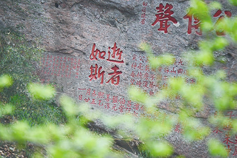 ◎ 三月廿一日,武夷山國家公園九曲溪畔丹霞岩壁上的摩崖石刻與綠樹相映成趣。