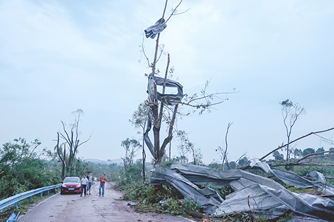 ◎ 圖為十五日,現場吹落的鋼板纏繞在道路兩側殘留的樹幹上。(中新社)