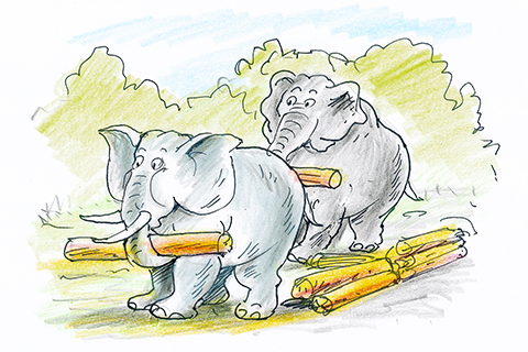 曹長雄老師 謎語圖