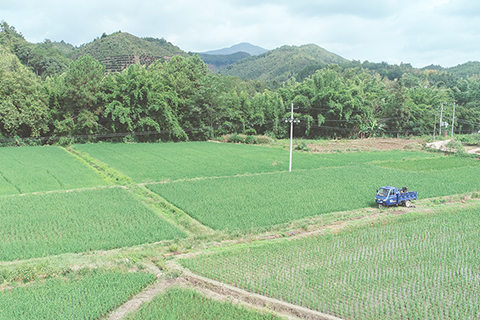 ◎ 本月十二日,袁長明夫婦駕車行駛在趕集途中(無人機拍攝)。
