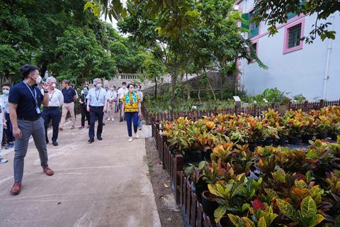 ◎ 市政諮委委員參觀白鴿巢剛開放的苗圃。