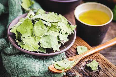 作者手撕的荷葉茶。