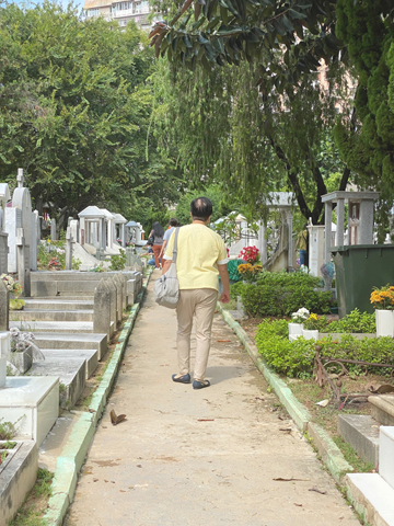 　◎ 昨日重陽節，不少市民到墓園掃墓。