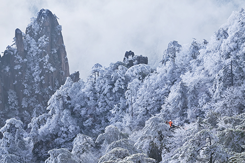 ◎ 十一月八日,安徽省黃山風景區受北方強冷空氣的影響,現大面積霧凇景觀。(中新社發 汪桂敏 攝)