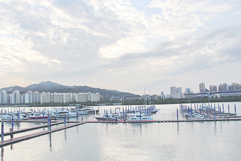 ◎ 路環聯生碼頭泊停參展遊艇約三十艘。