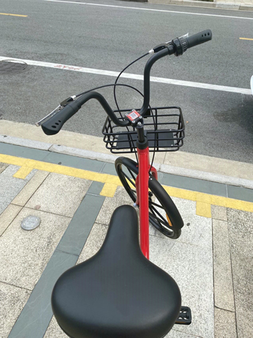 我的選擇