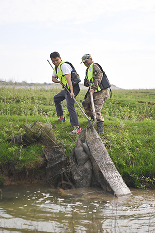 十一月十一日,何東順(左)和父親何大明在東洞庭湖溼地中清理退捕遺留的漁網。(新華社記者 薛宇舸 攝)