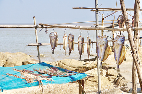 天時加地利,售賣超好味的生曬魚乾。