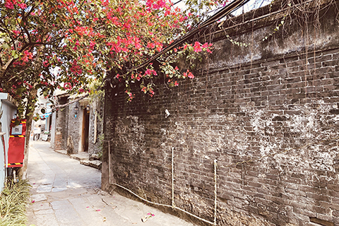 石板街上的民居,一戶一院,舒適雅致。