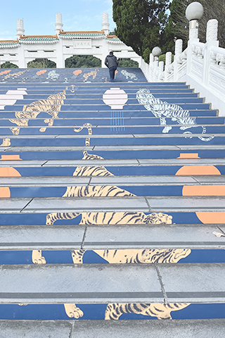 　畫虎迎新年 ◎ 農曆虎年即將到來，台北故宮博物院前的階梯，以古畫中的老虎裝飾，吸引遊客拍照留念。（香港中通社圖片）