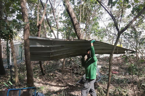 ◎ 市署開展藤蔓及枯樹清理工作。