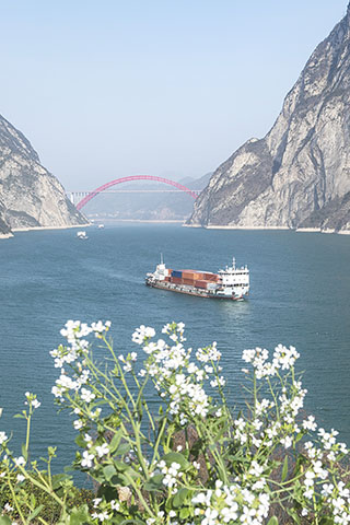 ◎ 三月八日,船舶行駛在長江三峽湖北省宜昌市秭歸縣水域。新華社發(鄭家裕攝)