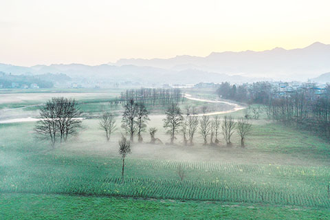 ◎ 三月八日,早春時節的湖南省湘西土家族苗族自治州龍山縣召市鎮前衛村晨霧繚繞(無人機照片)。新華社發(曾祥輝攝)