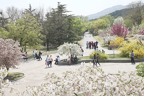 ◎ 四月十八日,市民在北京國家植物園內賞花。當日,國家植物園在北京正式揭牌。(中新社記者 易海菲 攝)