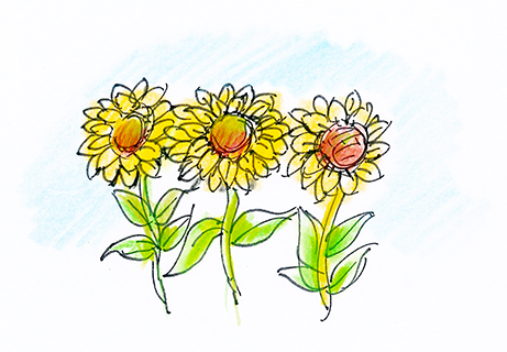 曹長雄老師 謎語圖