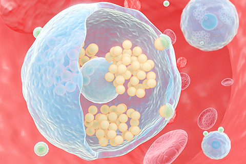 ◎ 體內搭便車免疫細胞的細菌仿生納米藥物。