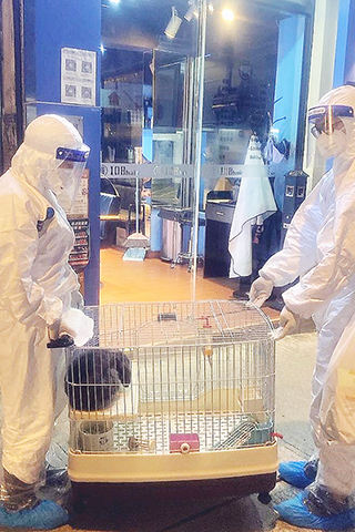 ◎ 市政署會派出動物醫療及管護人員前往接載需照顧動物。