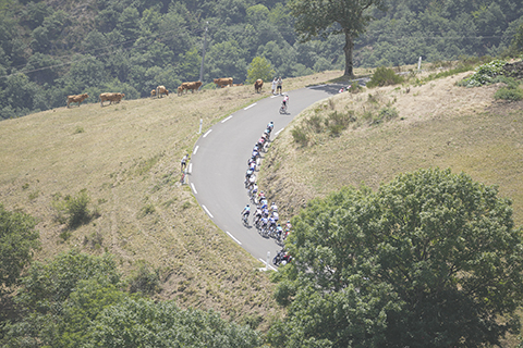 ◎ 環法自行車賽,七月二十日,車隊在環法自行車賽第十七階段攀登阿斯平山口,環法自行車賽第十七賽段全程一百三十公里,從聖戈當開始,到佩拉古德結束。(美聯社)