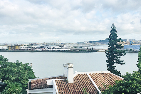 馬交石山下的水塘