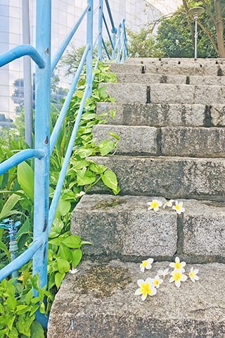 登上炮台的石階