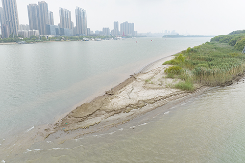◎ 8月17日,航拍長江南京段。受長江流域降雨量偏少和上游來水量減少的影響,長江南京段水位持續走低。(無人機照片)(中新社)