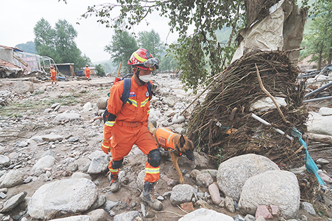 ◎ 8月19日,搜救犬參與青海省西寧市大通縣山洪災害排查搜救失聯人員工作。8月17日22時25分,青海省西寧市大通縣瞬間強降雨,引發山洪,造成泥石流,致使河流改道,2個鄉鎮6個村1517戶6245人受災。(中新社)