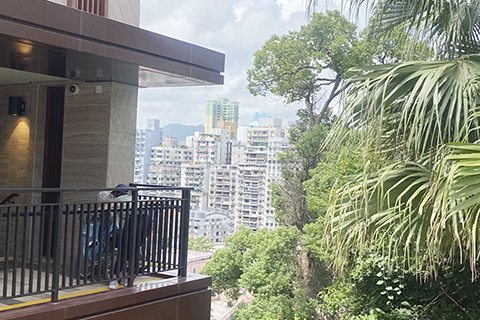 家人彎腰向輪椅上的婆婆介紹眼前的景象