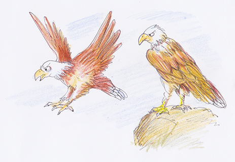 曹長雄老師 謎語圖