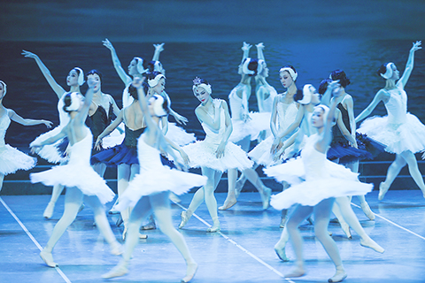◎ 十月十三日晚,遼寧瀋陽,演員表演芭蕾舞劇《天鵝湖》。遼寧省首屆優秀舞台藝術作品演出季「大河之瀾」日前啟幕。在為期三個月的演出中,觀眾可以欣賞到包括芭蕾舞劇、話劇、歌劇、兒童劇等十四部精品舞台藝術作品。
