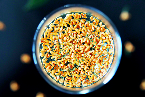 ◎ 在四川省達州市拍攝的一杯桂花茶(十月二日攝)。新華社發(曾猛攝)