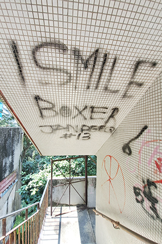 通過這度閘門,經過樹叢,便可到達南固臺